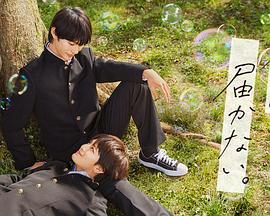 竞彩足球优化网站软件